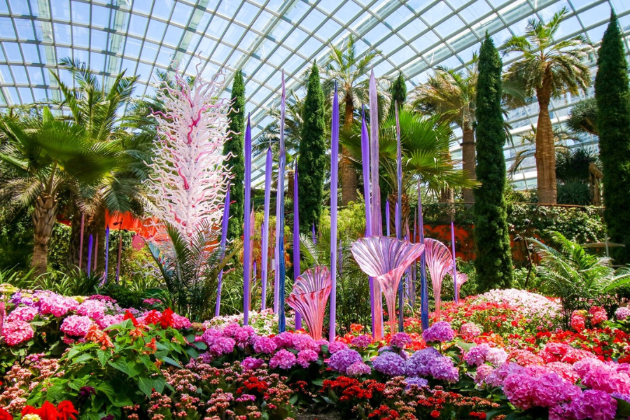Gardens by the Bay – xứ sở mộng mơ ở đảo quốc Sư tử